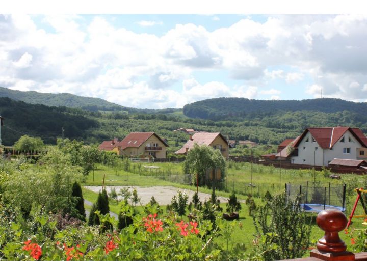 Pensiunea Casa Romantic, Sovata - imaginea 