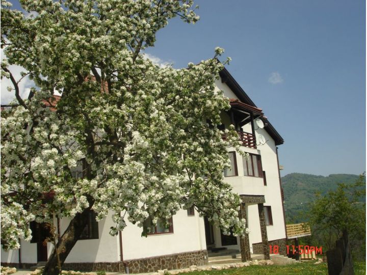 Pensiunea Casa Tabacaru, Pestera - imaginea