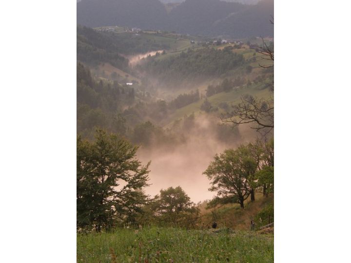 Pensiunea Casa Tabacaru, Pestera - imaginea