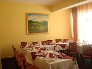 Hotel Fantanita Mandrei, Fagaras - 3