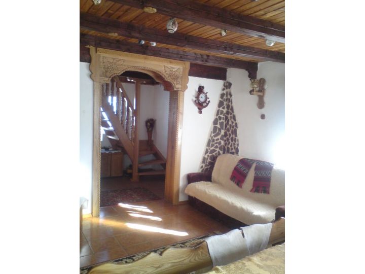 Pensiunea Cabana Nicusor, Belis-Fantanele - imaginea 