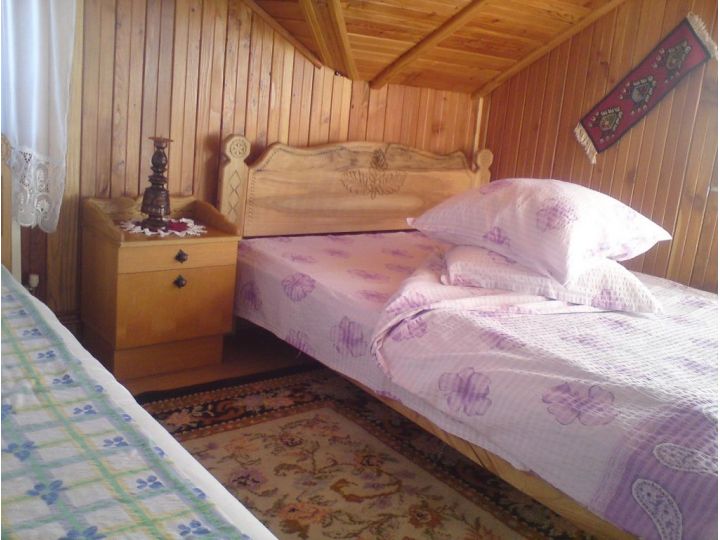 Pensiunea Cabana Nicusor, Belis-Fantanele - imaginea 
