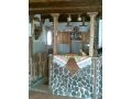 Pensiunea Cabana Nicusor, Belis-Fantanele - thumb 4