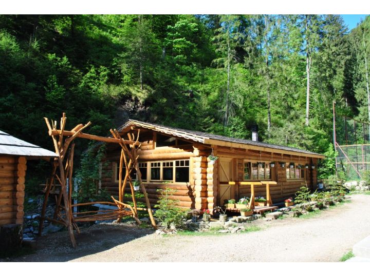 Pensiunea Valea Paradisului, Maguri Racatau - imaginea 