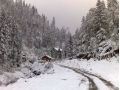 Pensiunea Valea Paradisului, Maguri Racatau - thumb 4