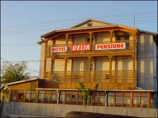 Pensiunea Delia, Crisan - 1