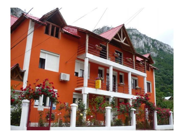 Vila Adonis, Baile Herculane - imaginea 