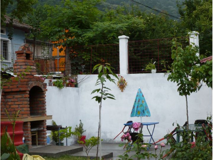 Vila Adonis, Baile Herculane - imaginea 