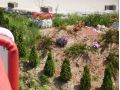 Hotel Golden Spirit, Baile Herculane - thumb 16
