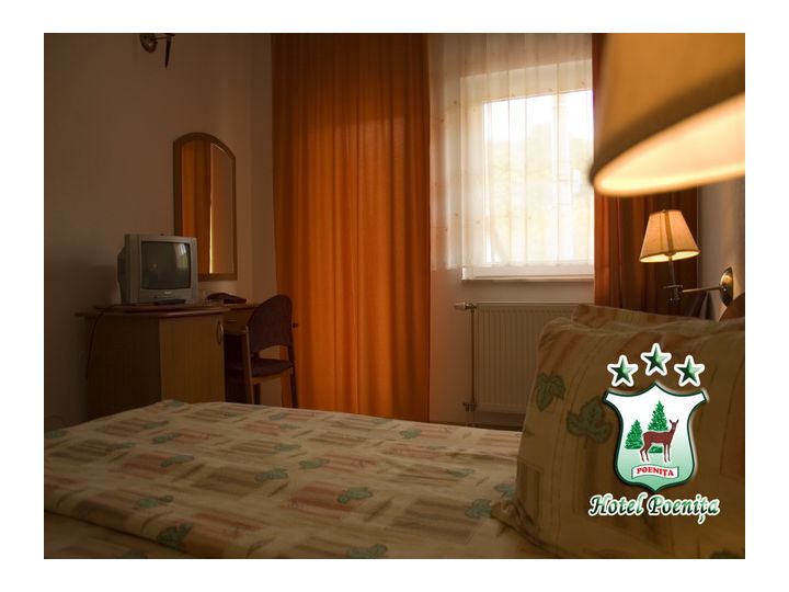 Hotel Poenita, Sighisoara - imaginea 