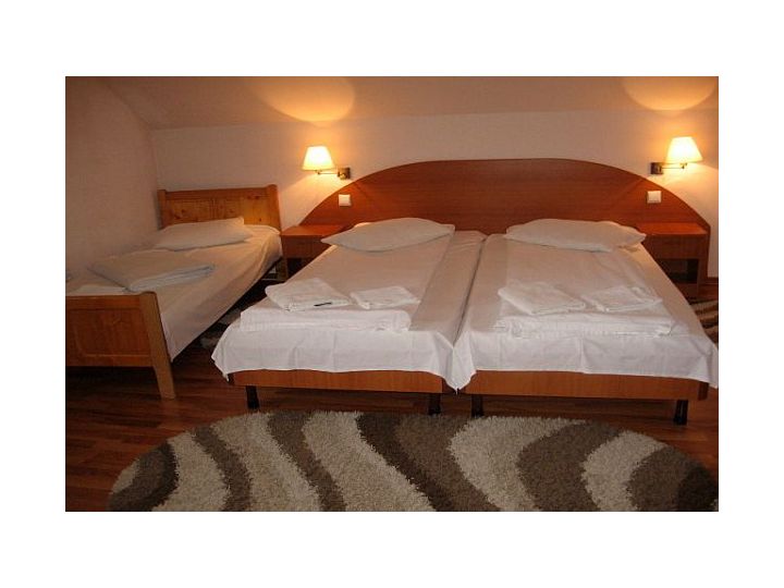 Hotel Poenita, Sighisoara - imaginea 
