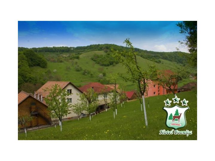 Hotel Poenita, Sighisoara - imaginea 