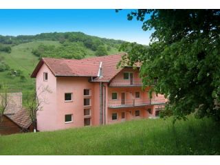 Hotel Poenita, Sighisoara - 3