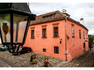 Pensiunea De La Teo, Sighisoara - 1