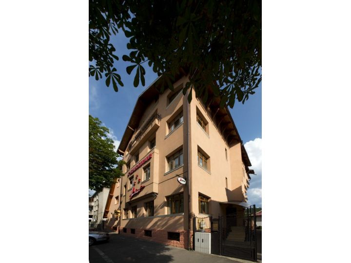 Pensiunea Ambient, Brasov Oras - imaginea 