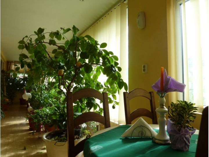 Pensiunea Old Sheriff, Bistrita - imaginea 