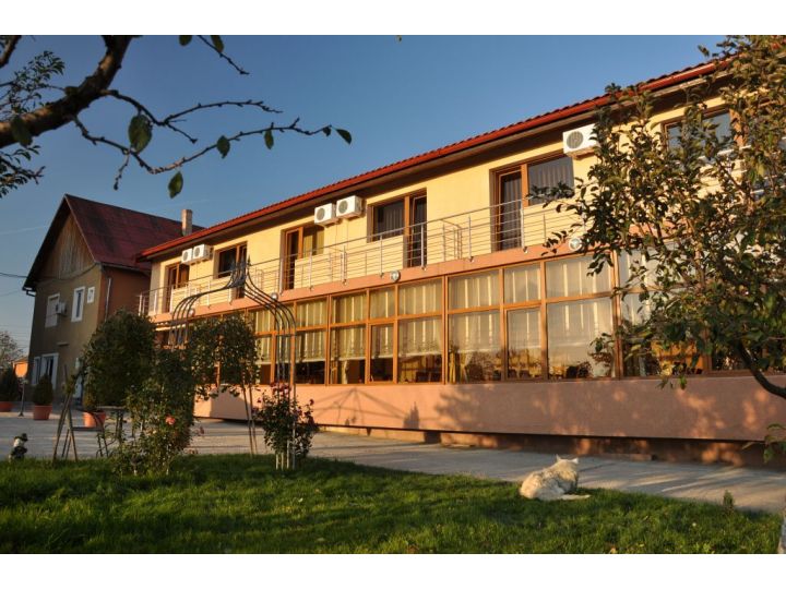 Pensiunea Andronic, Timisoara - imaginea