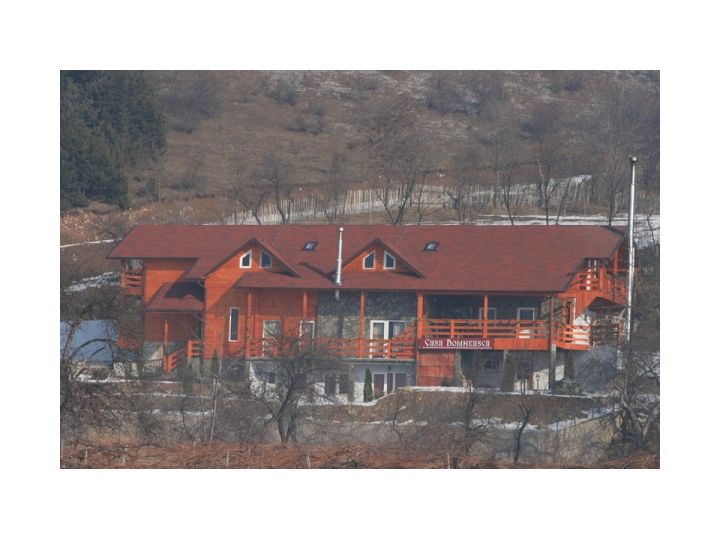 Cabana Casa Domneasca, Baia de Fier - imaginea 