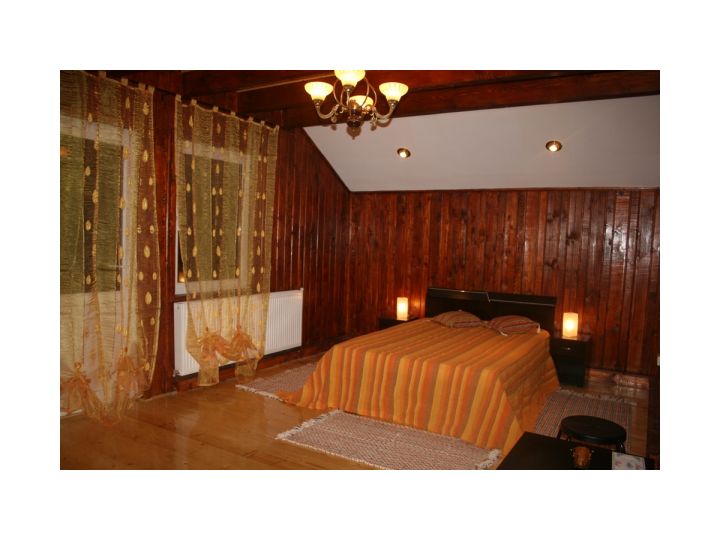 Cabana Casa Domneasca, Baia de Fier - imaginea 