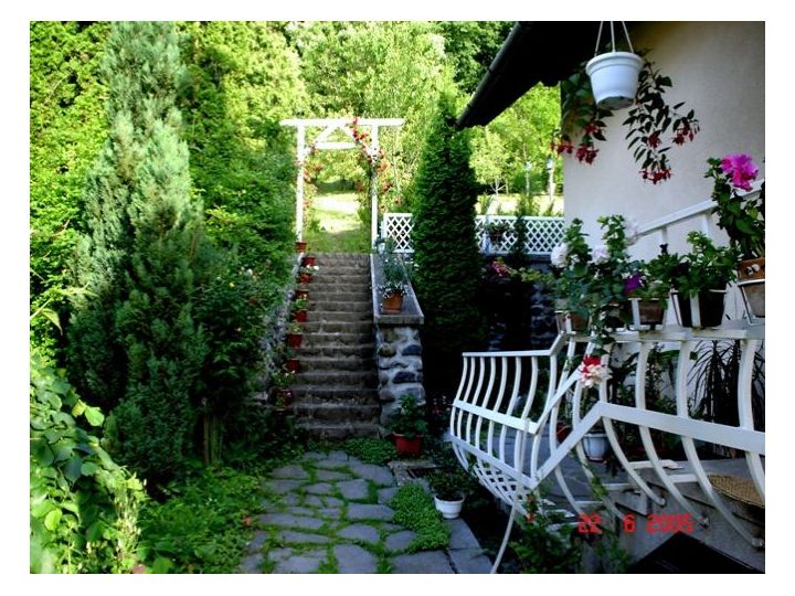 Vila Bica, Sovata - imaginea 