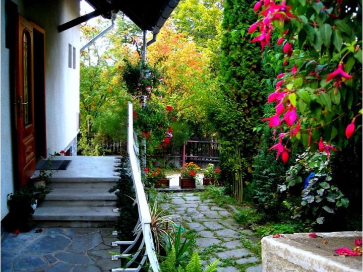 Vila Bica, Sovata - imaginea 
