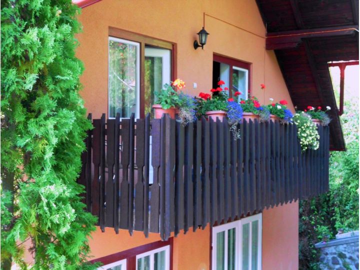 Vila Bica, Sovata - imaginea 