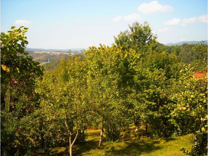 Vila Bica, Sovata - imaginea 