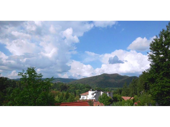 Vila Bica, Sovata - imaginea 