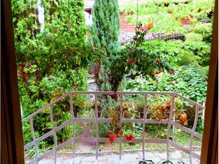 Vila Bica, Sovata - imaginea 