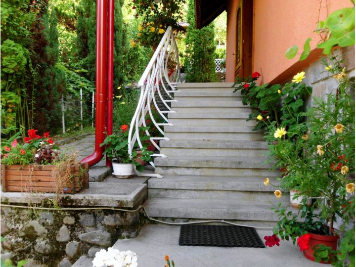 Vila Bica, Sovata - imaginea 