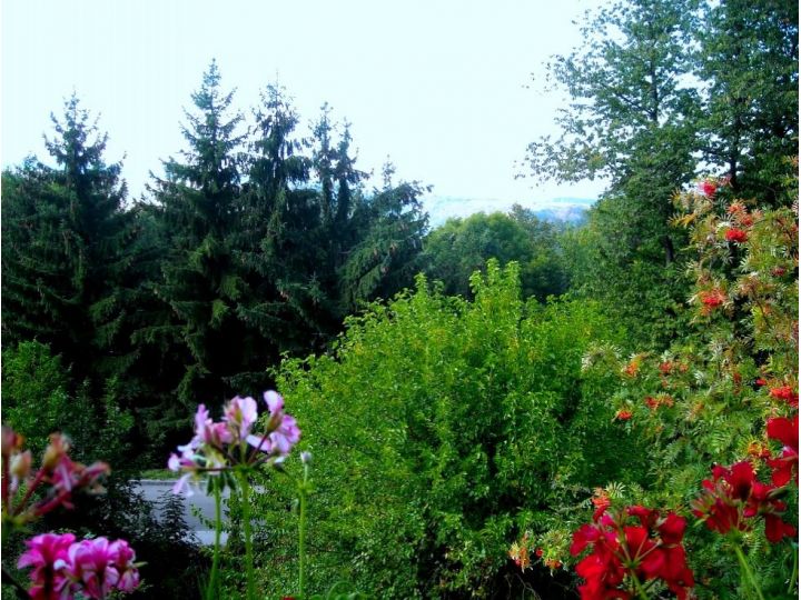 Vila Bica, Sovata - imaginea 