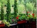 Vila Bica, Sovata - thumb 9