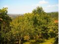 Vila Bica, Sovata - thumb 8