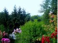 Vila Bica, Sovata - thumb 4