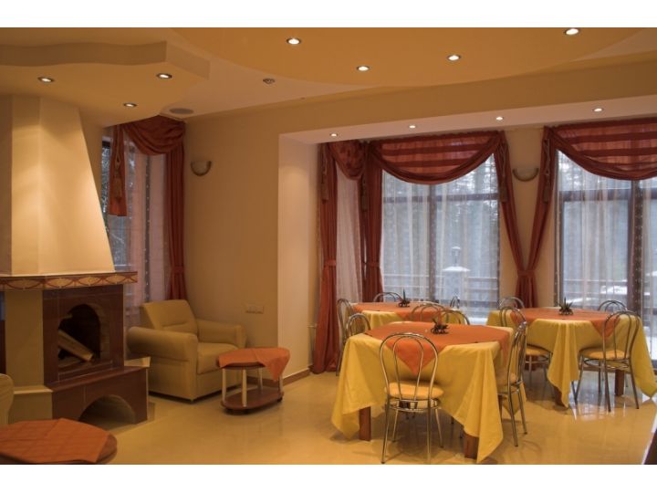 Vila Delmonte, Sinaia - imaginea 
