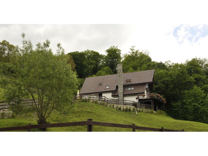 Vila Negras, Valea Doftanei - imaginea 