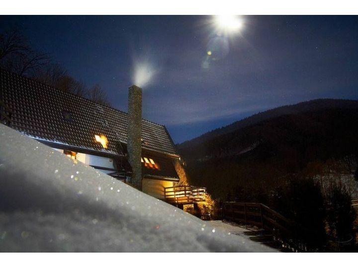 Vila Negras, Valea Doftanei - imaginea 