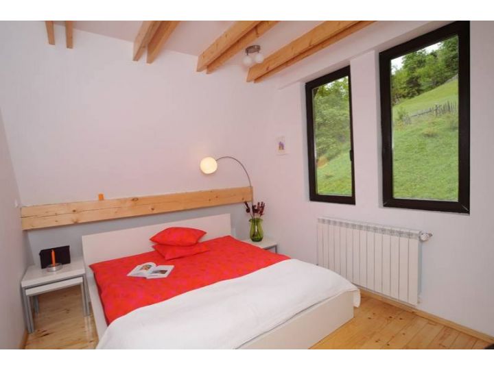 Vila Negras, Valea Doftanei - imaginea 