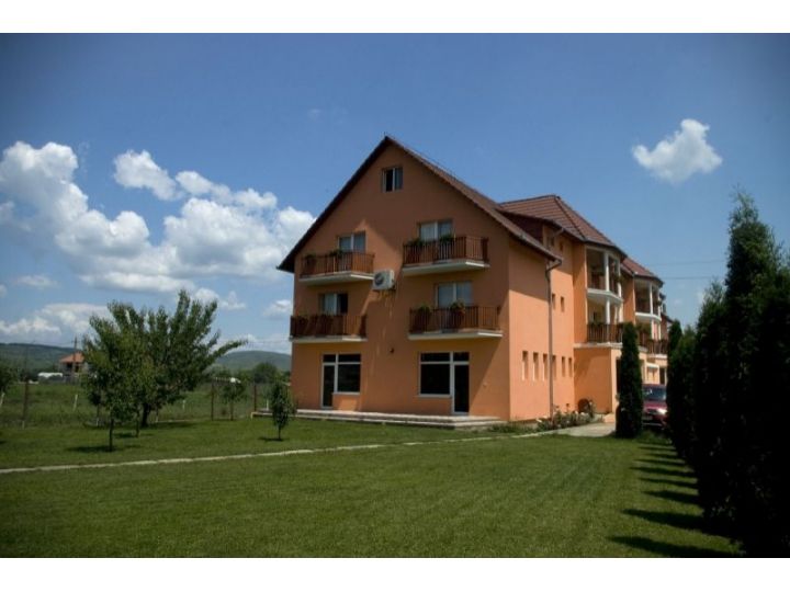 Vila Gong, Gilau - imaginea 