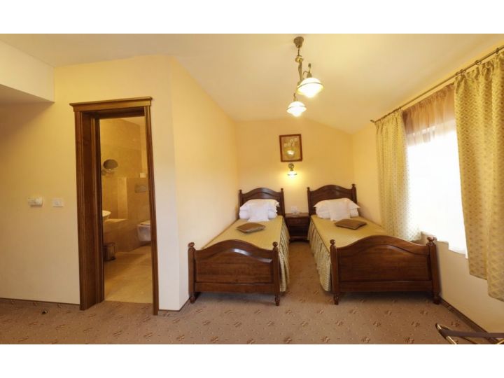 Vila Preciosa, Alba-Iulia - imaginea 