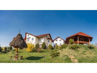 Pensiunea Faur, Sebes - 2
