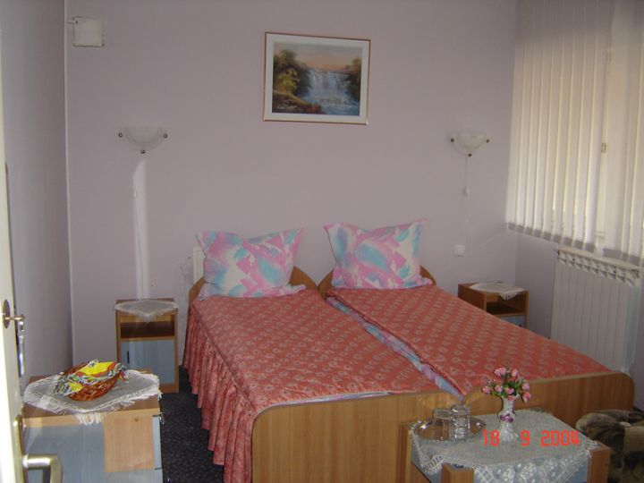 Pensiunea Casa Diana, Sovata - imaginea 