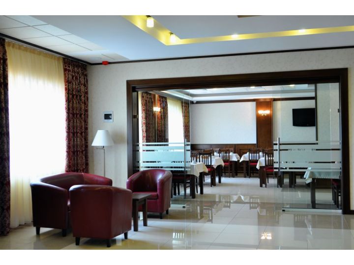 Hotel Leul de Aur, Sebes - imaginea 
