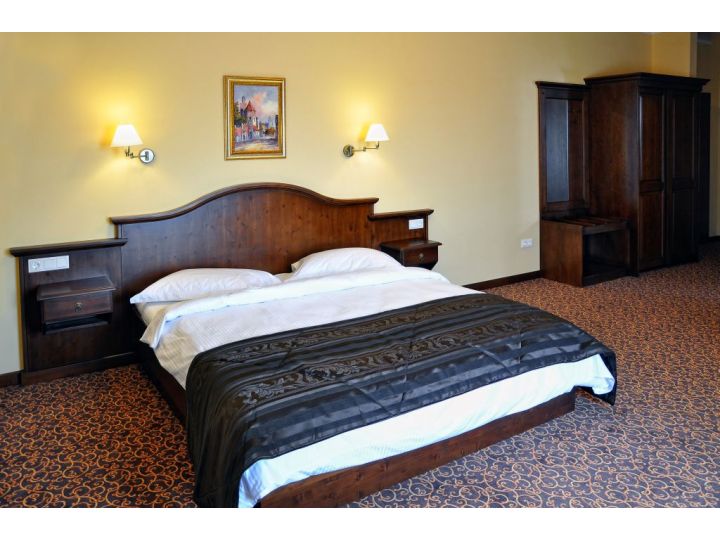 Hotel Leul de Aur, Sebes - imaginea 