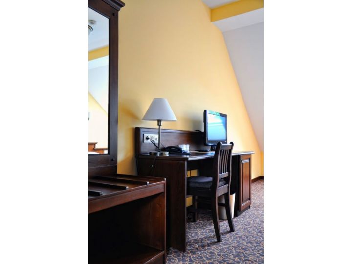 Hotel Leul de Aur, Sebes - imaginea 