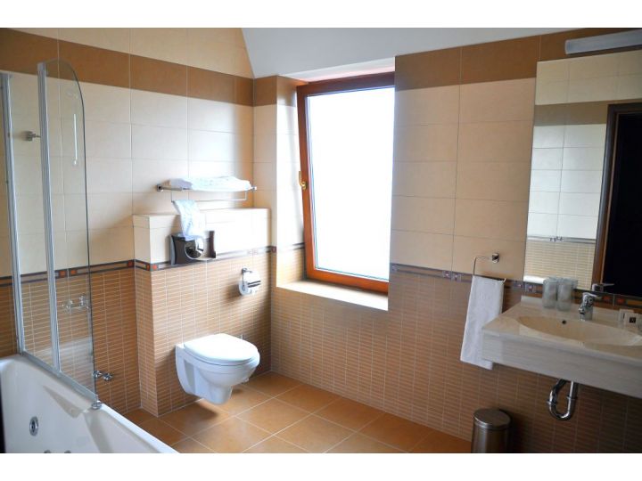 Hotel Leul de Aur, Sebes - imaginea 