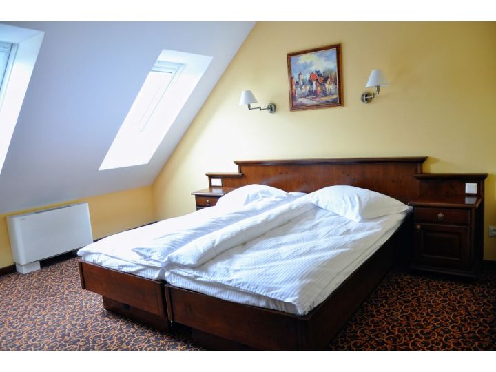 Hotel Leul de Aur, Sebes - imaginea 