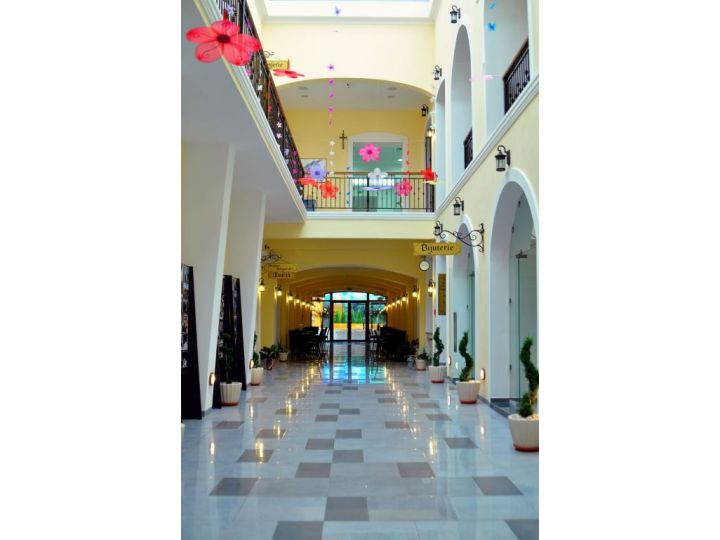 Hotel Leul de Aur, Sebes - imaginea 