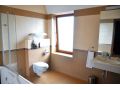 Hotel Leul de Aur, Sebes - thumb 8