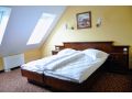 Hotel Leul de Aur, Sebes - thumb 10